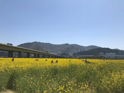 국내 출발확정 이미지1