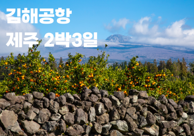 국내 출발확정 이미지2