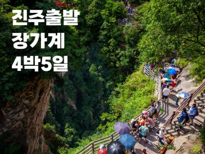 해외 출발확정 이미지0