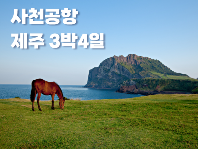 제주도·섬투어 출발확정/추천상품0