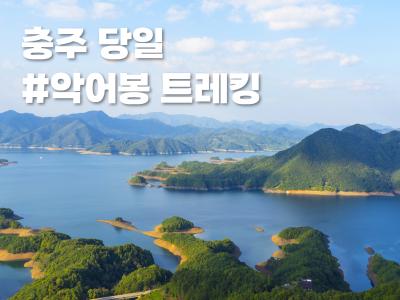 국내 출발확정 이미지1