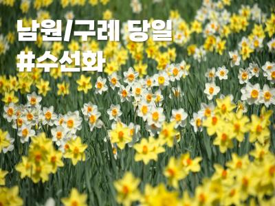 국내 출발확정 이미지0