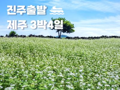 대표이미지1