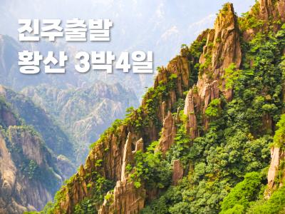 대표이미지0
