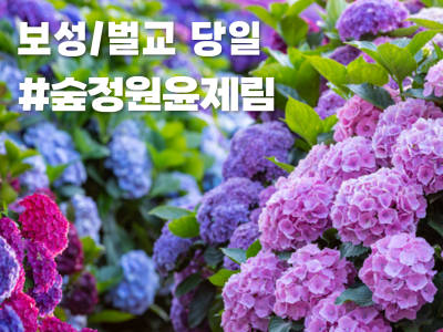 국내 출발확정 이미지3