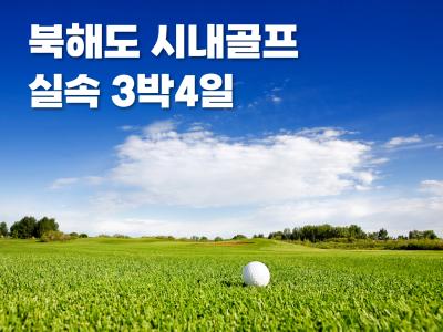 대표이미지2