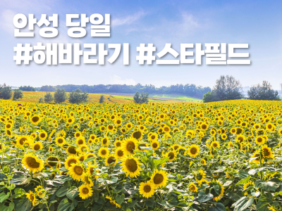 국내 출발확정 이미지0