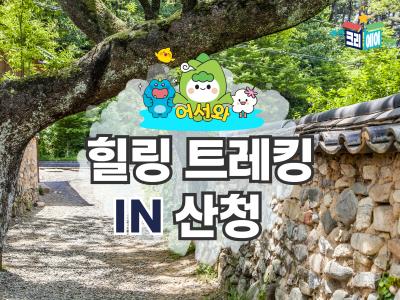 상품이미지3