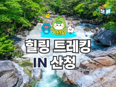 대표이미지0