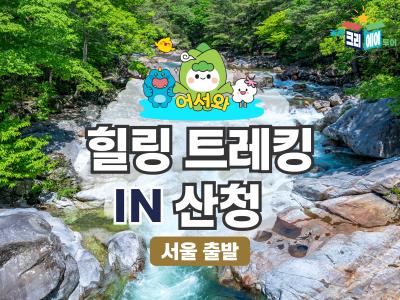 대표이미지1