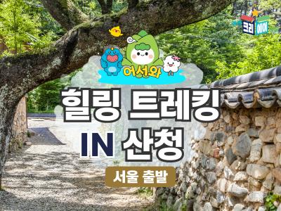 상품이미지4